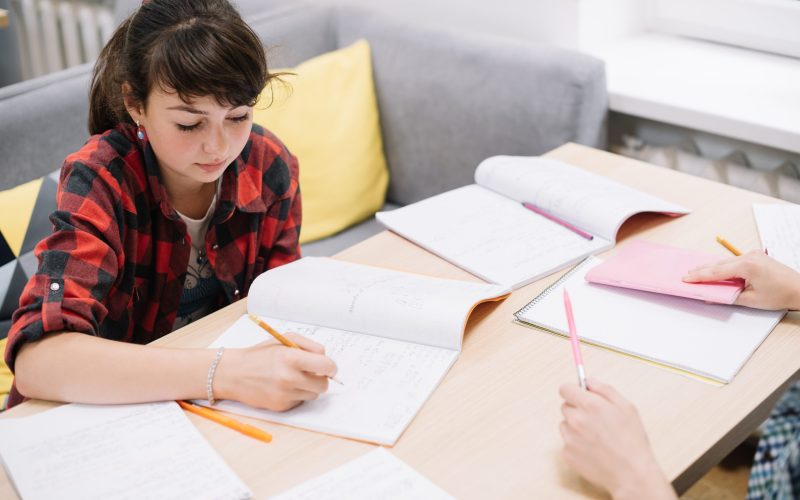 lgs_calisma_programi